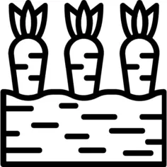 Carrots
