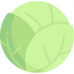 Cabbage