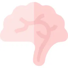 Brain