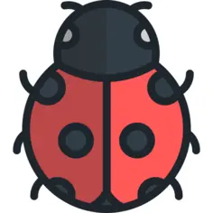 Ladybug