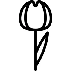 Tulip