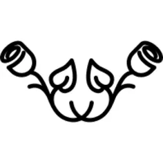 玫瑰夫妇在对称的