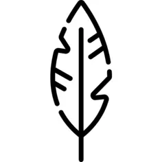 Feather
