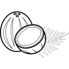 Coconut