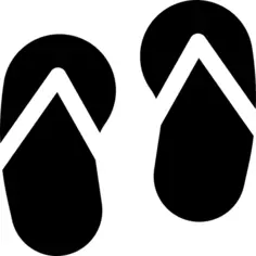 Two Flip Flop