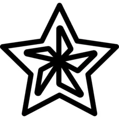 Christmas star