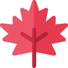 Maple leaf