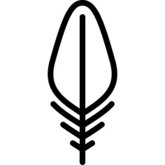 Feather