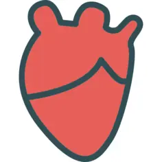 Heart