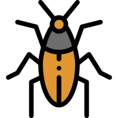 Cockroach
