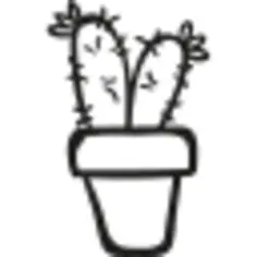 罐的两个仙人掌植物