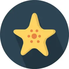 Starfish