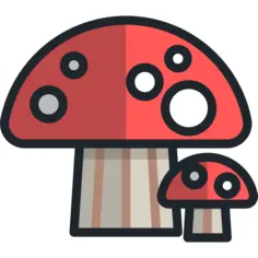 Mushroom