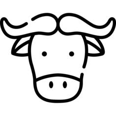 Buffalo