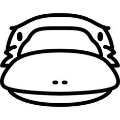 Platypus Head