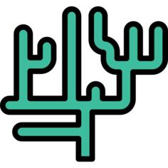 Seaweed