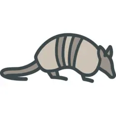 Armadillo
