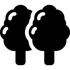 Trees