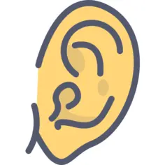 Ear