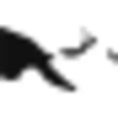 巴布亚新几内亚