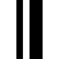 Bold double bar line