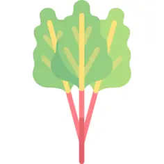 Rhubarb