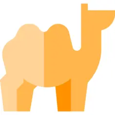 骆驼