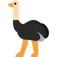 Ostrich