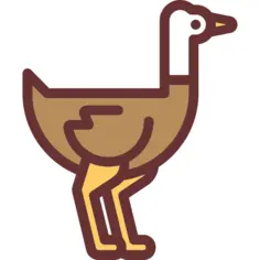 Ostrich