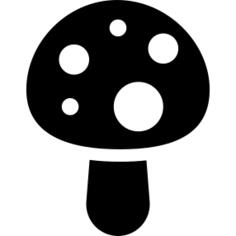 蘑菇