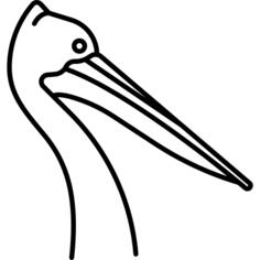 鸟