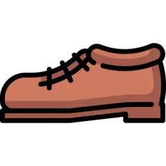 Shoe
