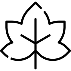 Maple leaf