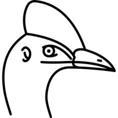 鸟