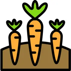 Carrots