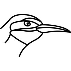 鸟