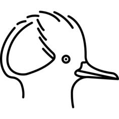 鸟