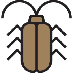 Cockroach