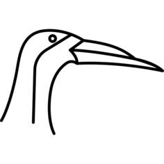 鸟