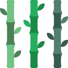 Bamboo