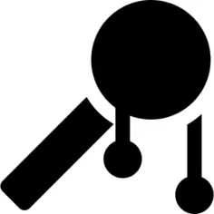 Chinese New Year Adornment