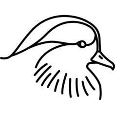 鸟