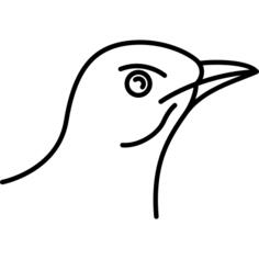 鸟