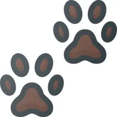 Pawprints