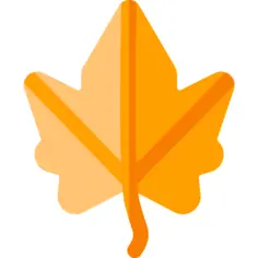 Maple leaf