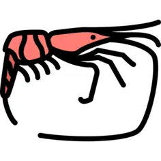 Shrimp