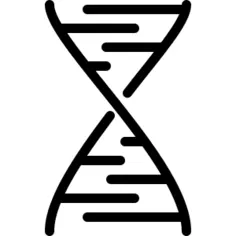Dna
