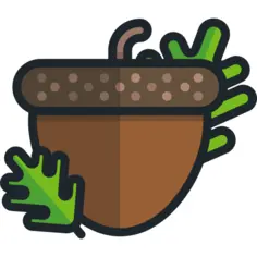 Acorn