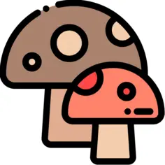 Mushroom