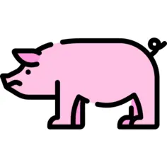 Pig